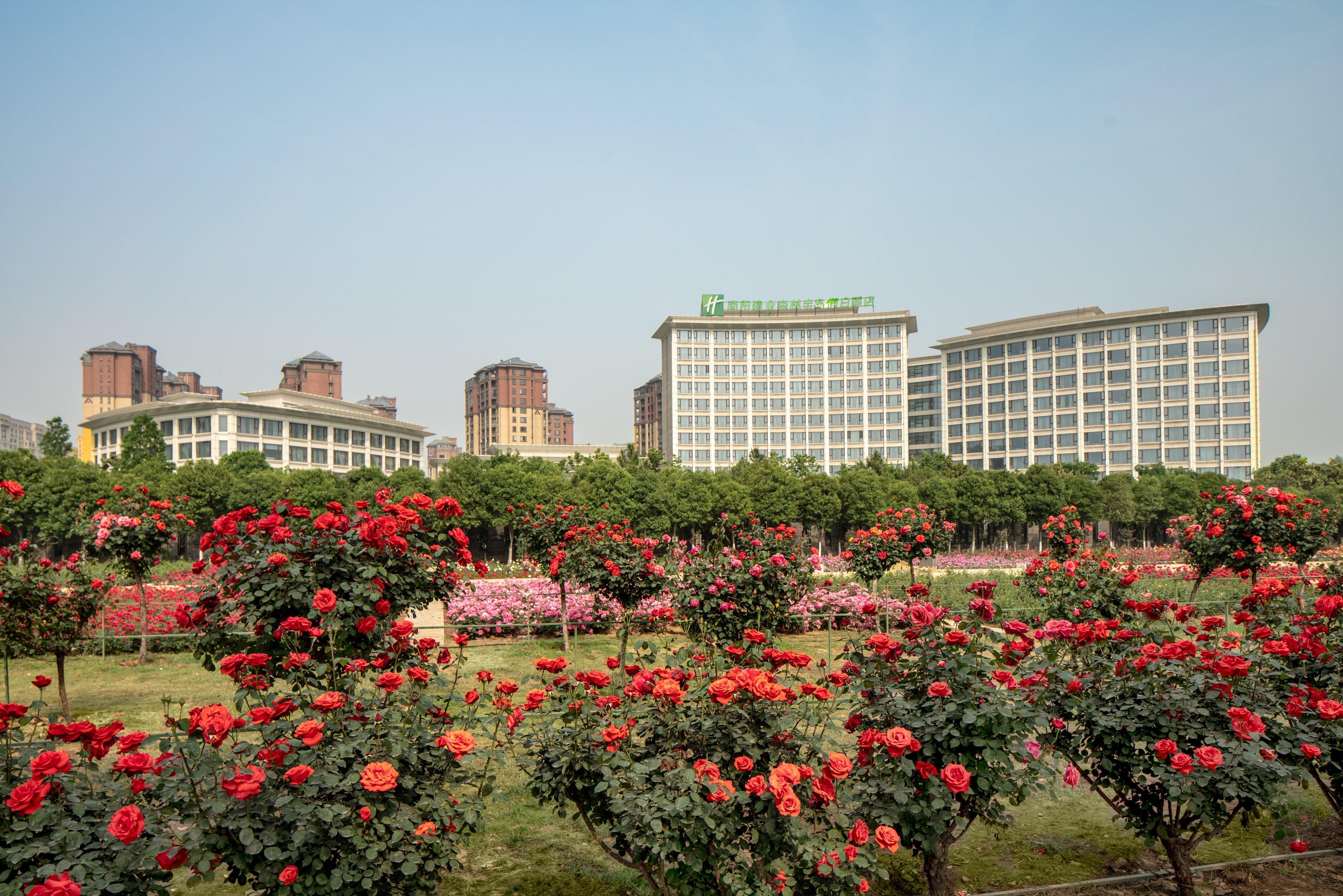 Holiday Inn Nanyang By Ihg Dış mekan fotoğraf