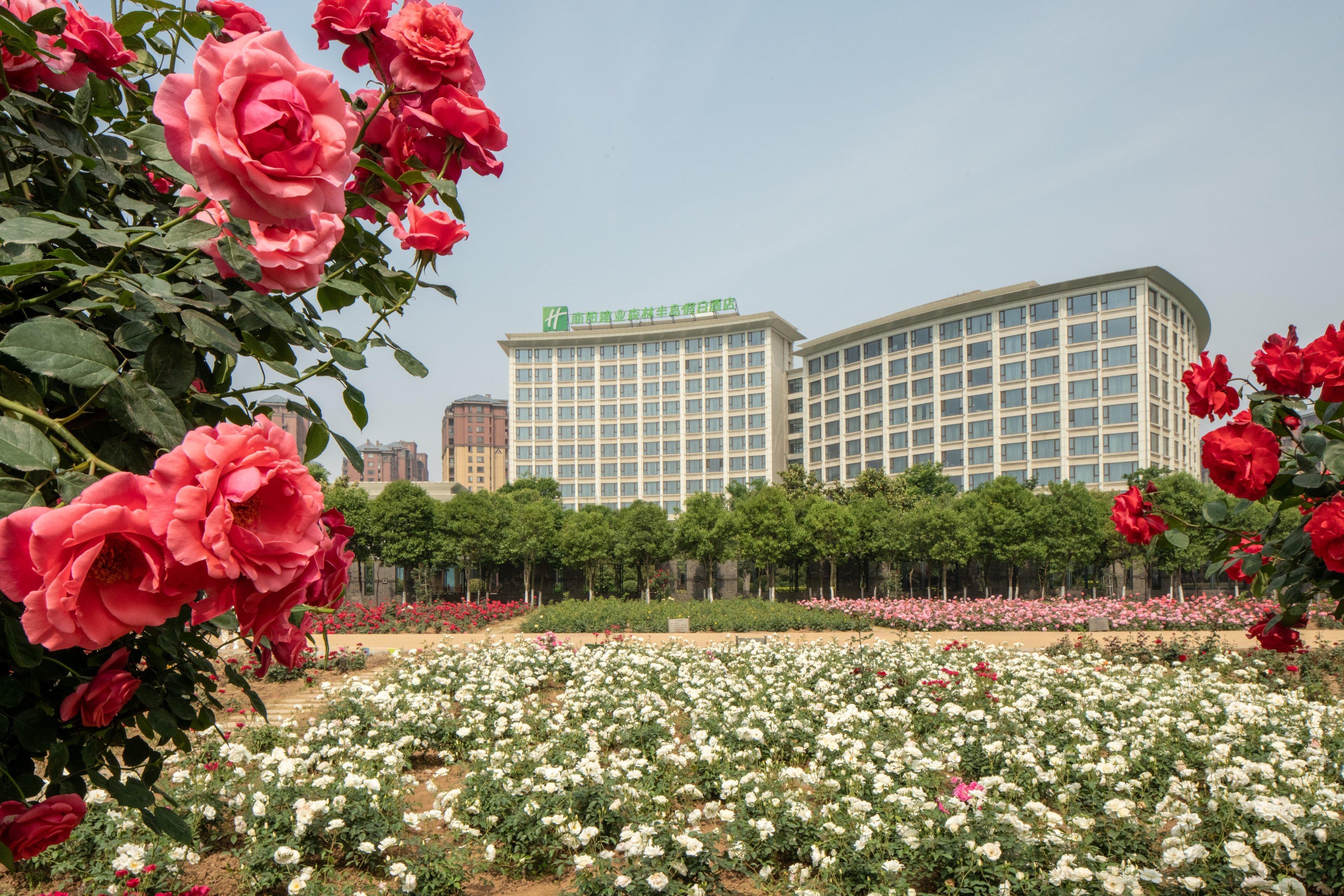 Holiday Inn Nanyang By Ihg Dış mekan fotoğraf